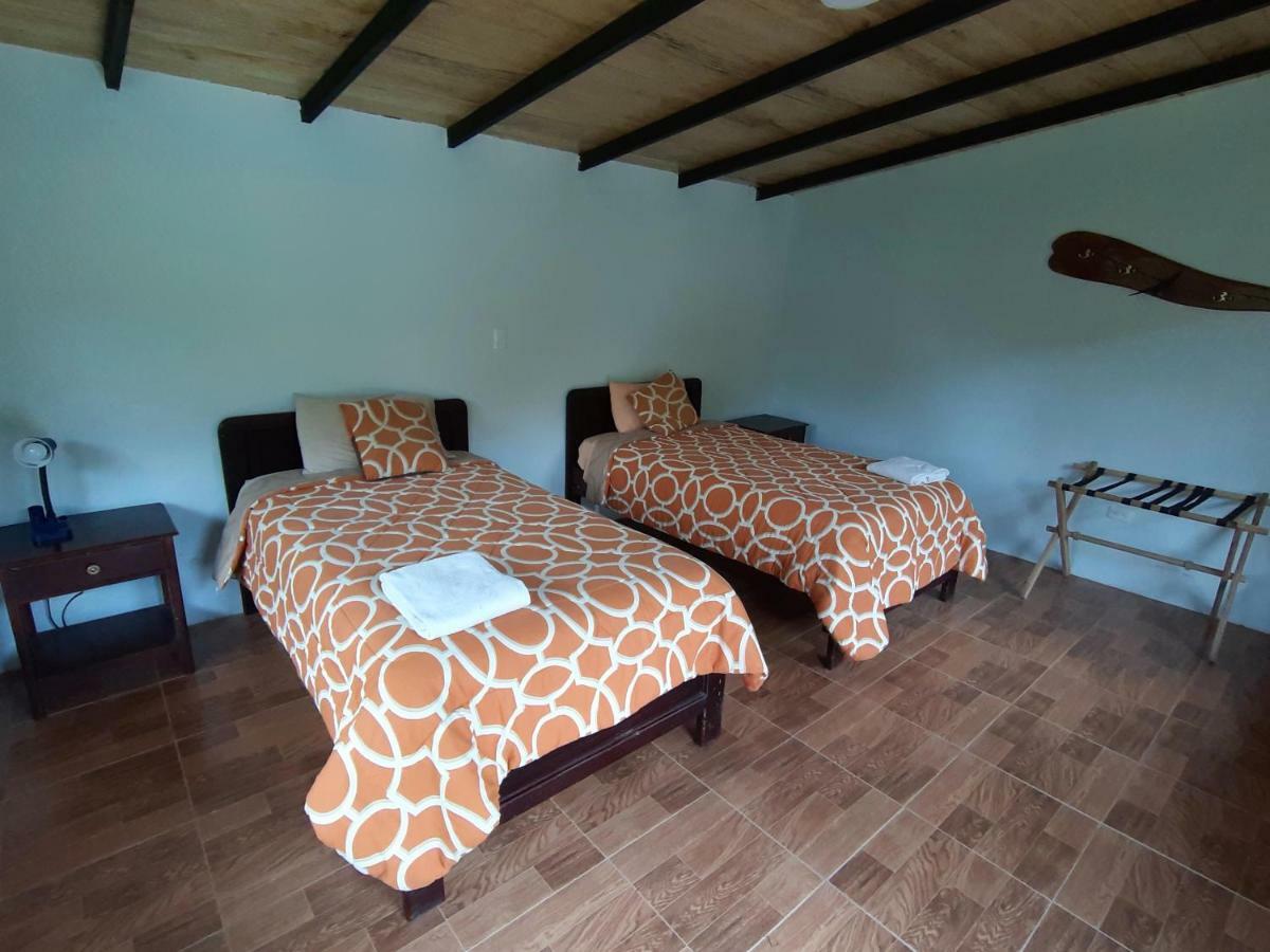 Mindo Loma Bird Lodge Стая снимка