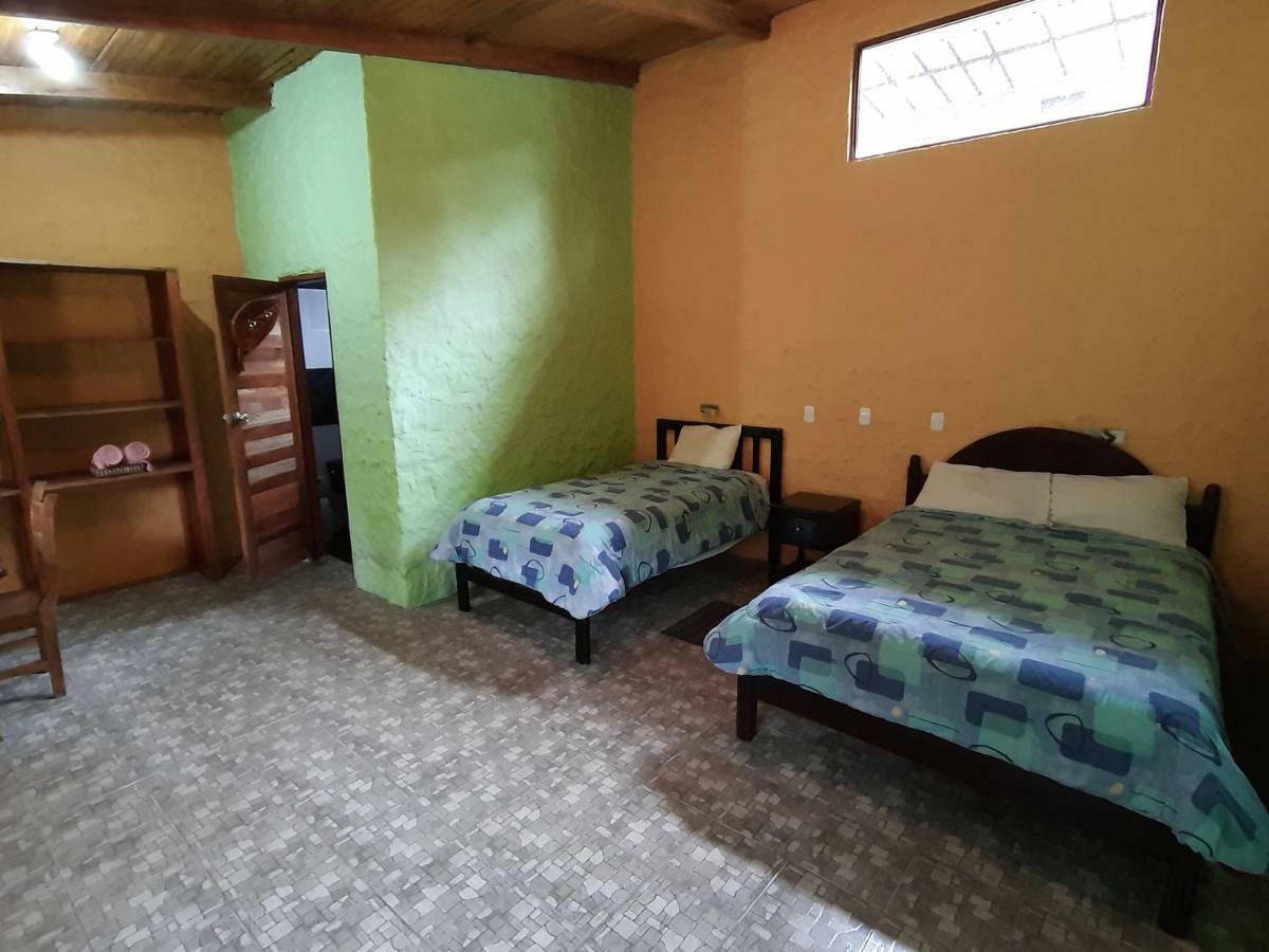 Mindo Loma Bird Lodge Стая снимка